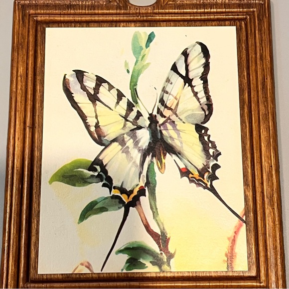 3 Charming Vintage Arthur A. Kaplan Butterflies on Wood prints - Picture 8 of 16